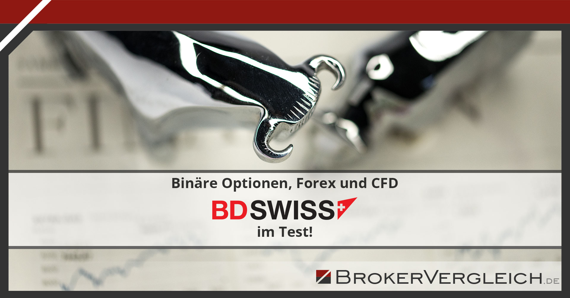 bdswiss forex im test erfahrungen mit dem forex broker cfd trading and share trading