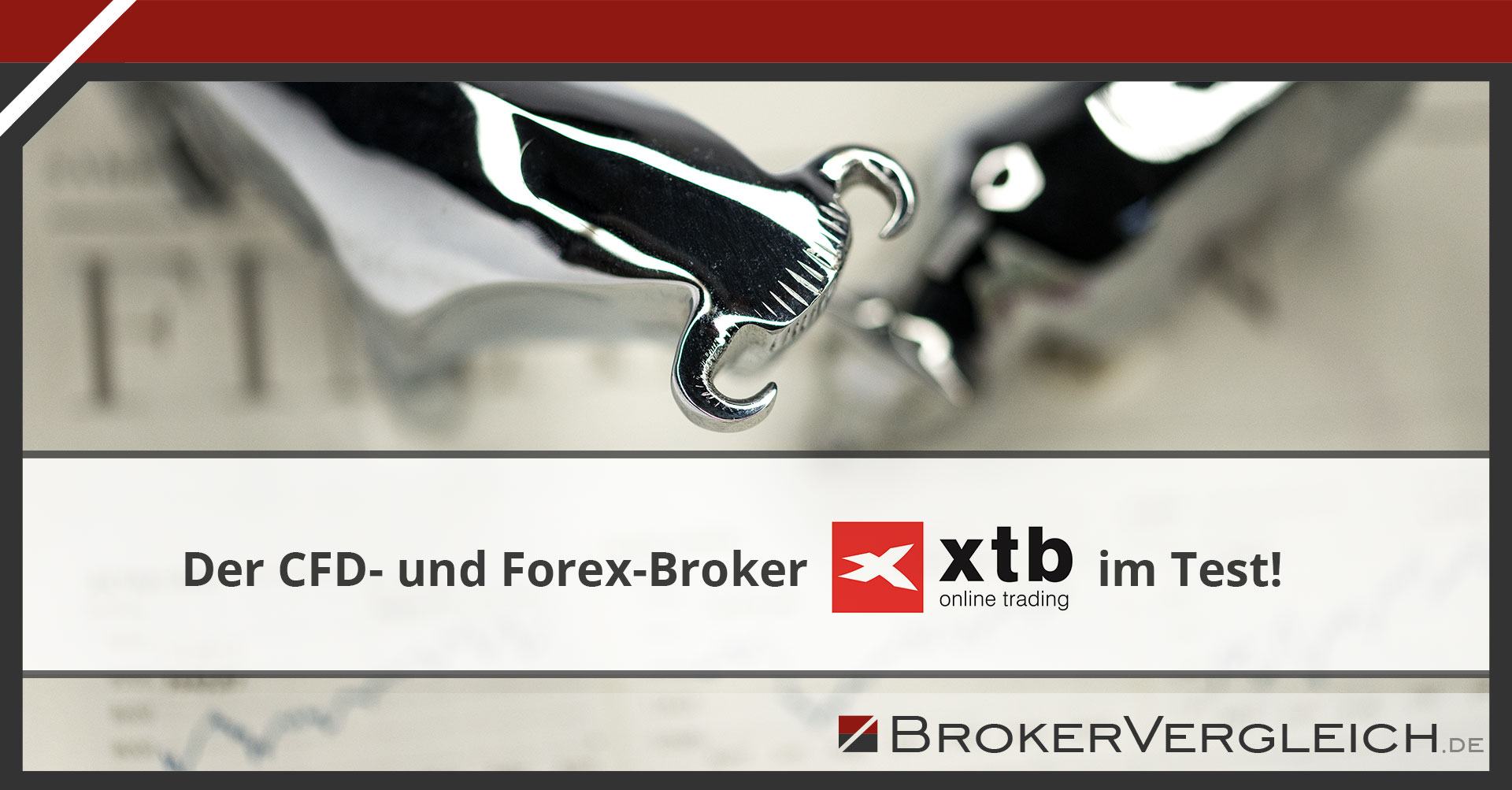 Xtb Cfd Und Forex Broker Im Test - 