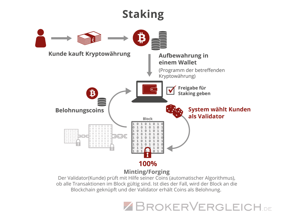 Infografik zur Funktionsweise von Coin-Staking